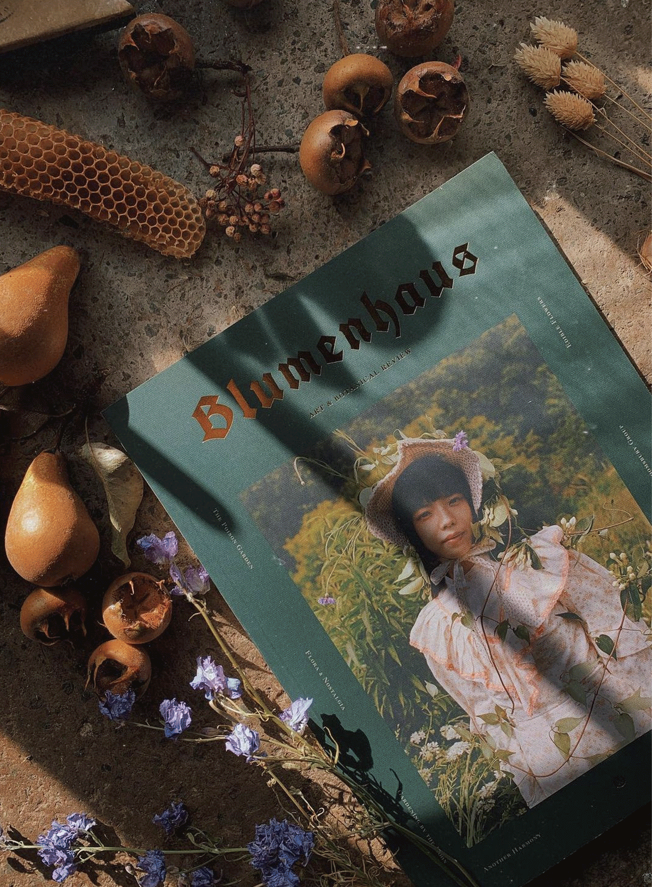 Blumenhaus issue 3