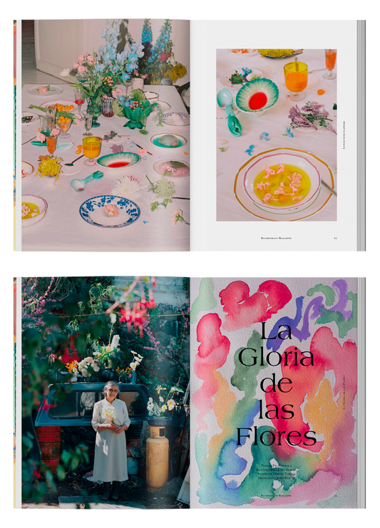 Blumenhaus issue 3